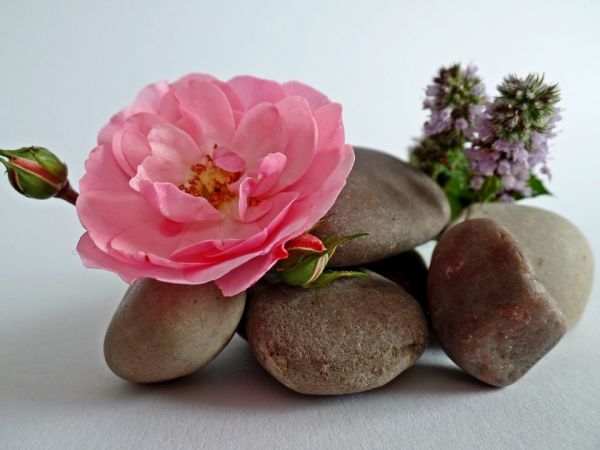 Fibromyalgia and Chronic Pain  Support Group