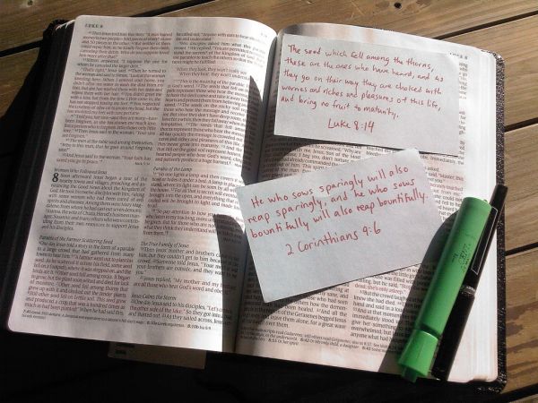 Lenten Devotional for You!